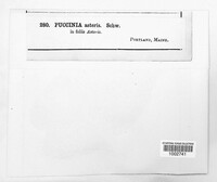 Image Associated With the Occurence
